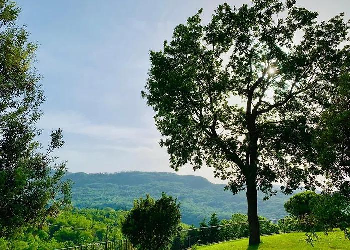 La Casa Di Elia 公寓 阿尔奇多索